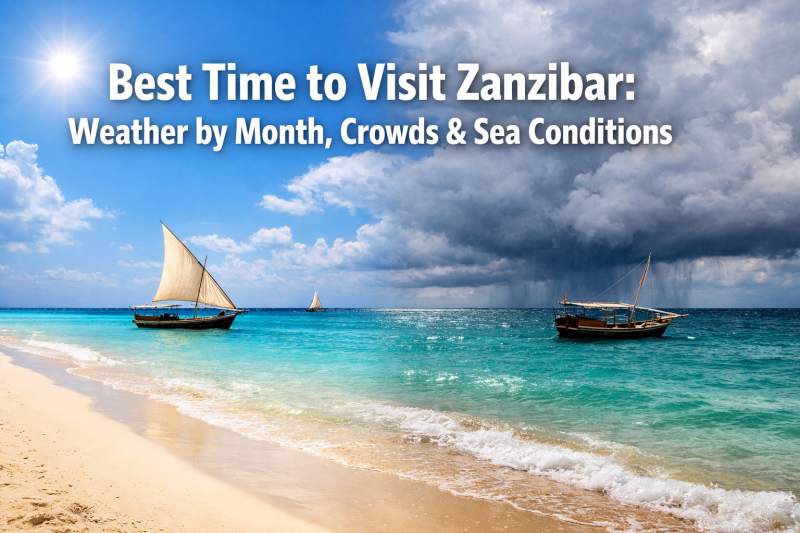 Best Time to Visit Zanzibar: Weather by Month, Crowds, and Sea Conditions